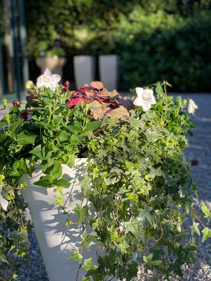 Hotel B&B Des Bains Milano Marittima Kültér fotó